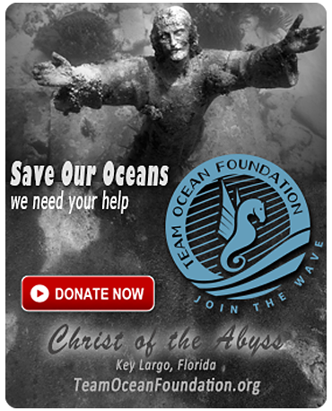TeamOceanFoundation.org - Save Our Oceans